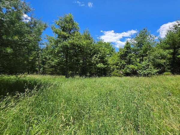 26.4 Acres of Land for Sale in Woodlawn, Virginia
