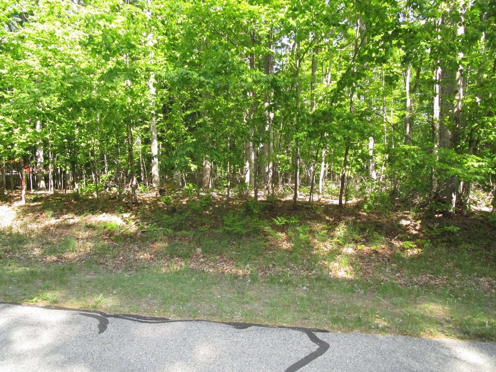 1.3 Acres of Land for Sale in Alanson, Michigan