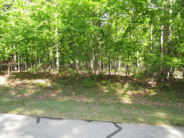 1.3 Acres of Land for Sale in Alanson, Michigan