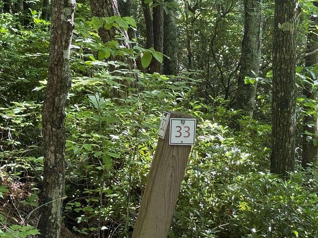 1.45 Acres of Residential Land for Sale in Hiawassee, Georgia