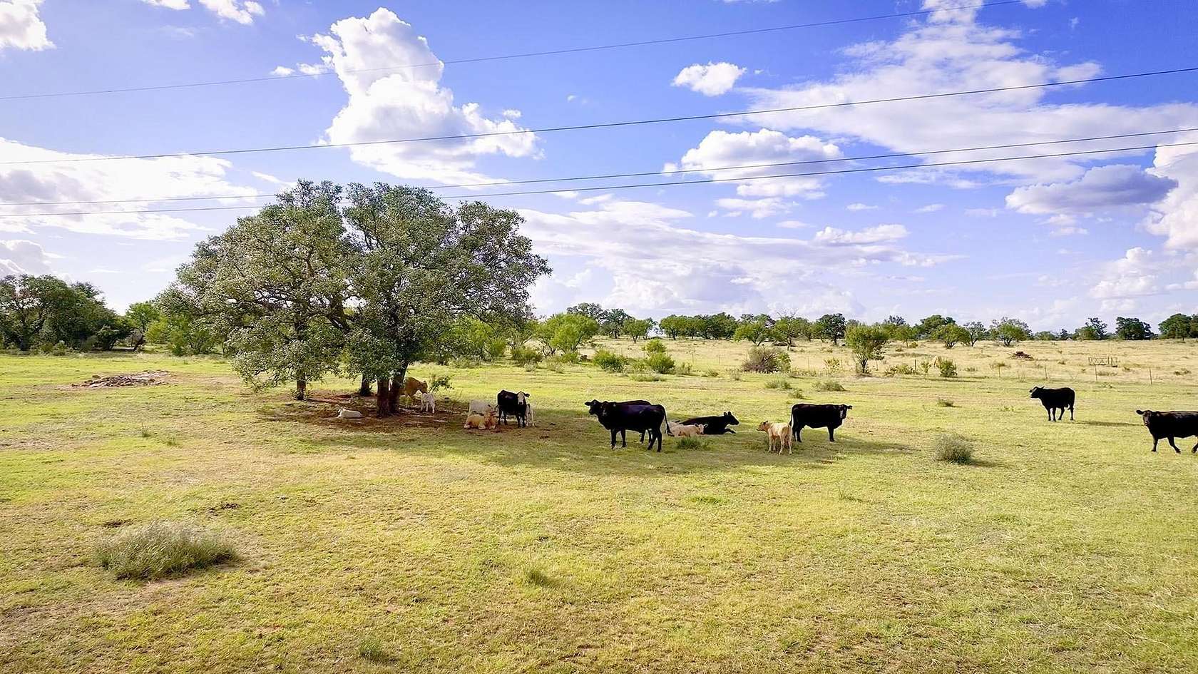 40 Acres of Agricultural Land for Sale in Llano, Texas