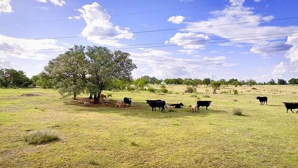 40 Acres of Agricultural Land for Sale in Llano, Texas