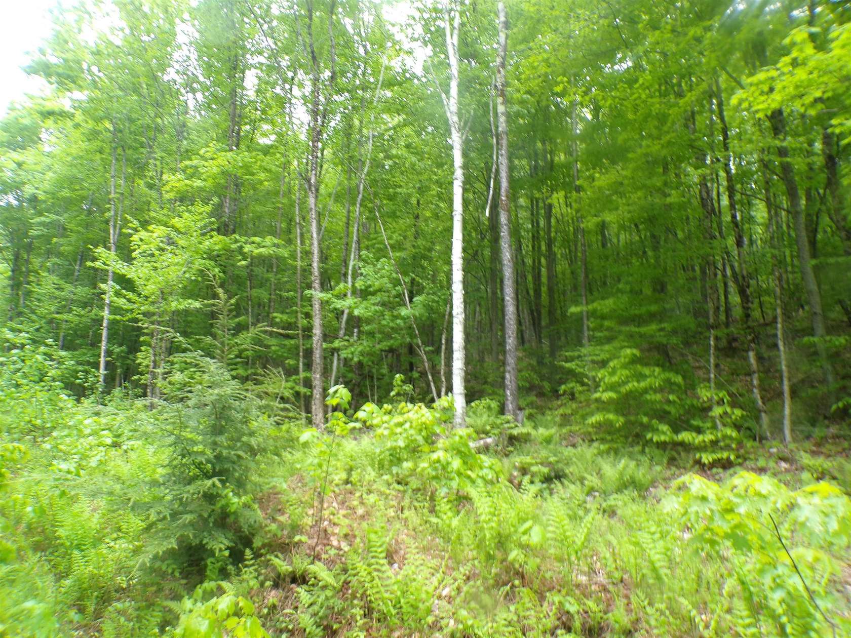 3 Acres of Land for Sale in Westmore, Vermont