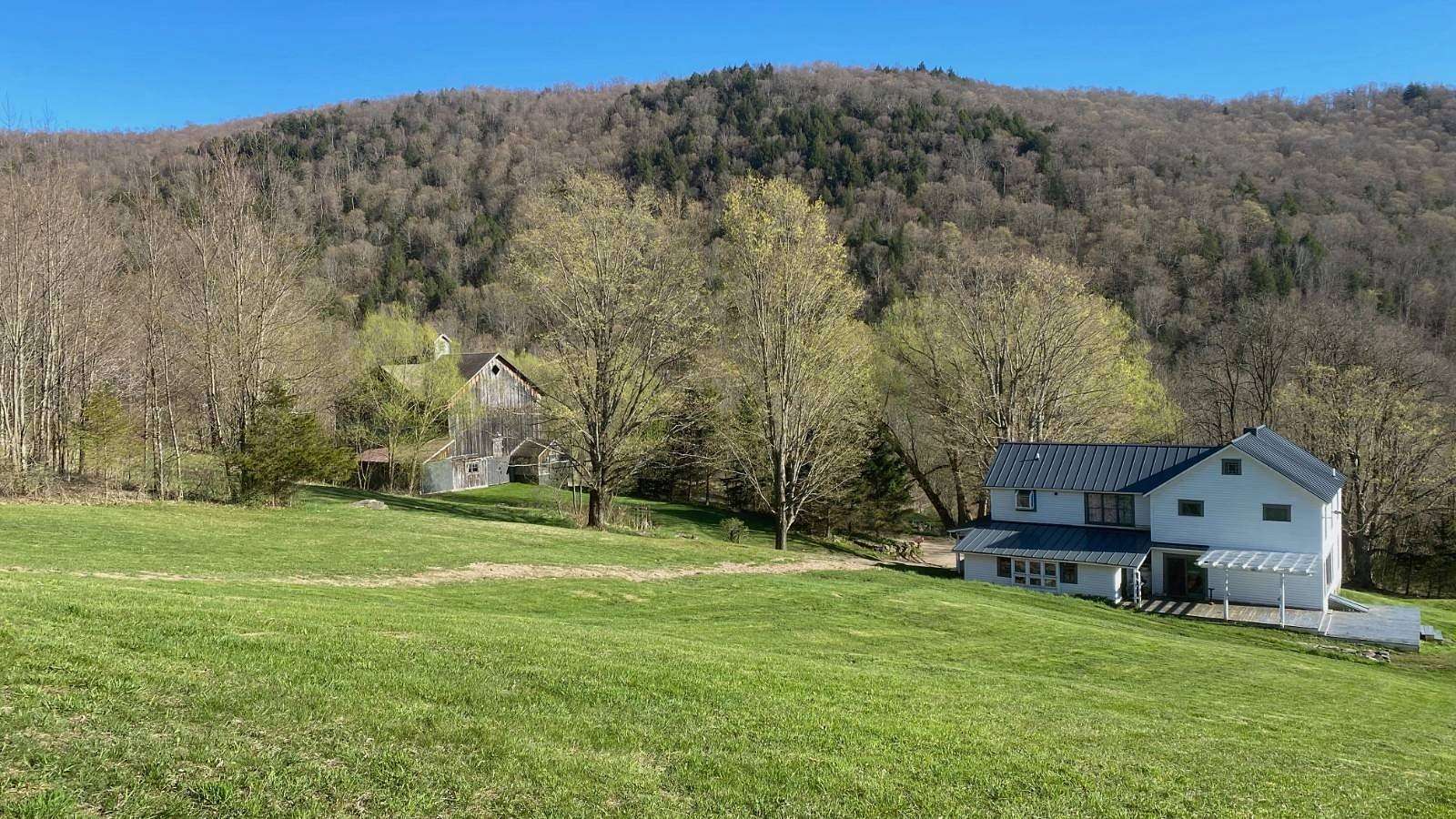87.3 Acres of Recreational Land with Home for Sale in Walton, New York