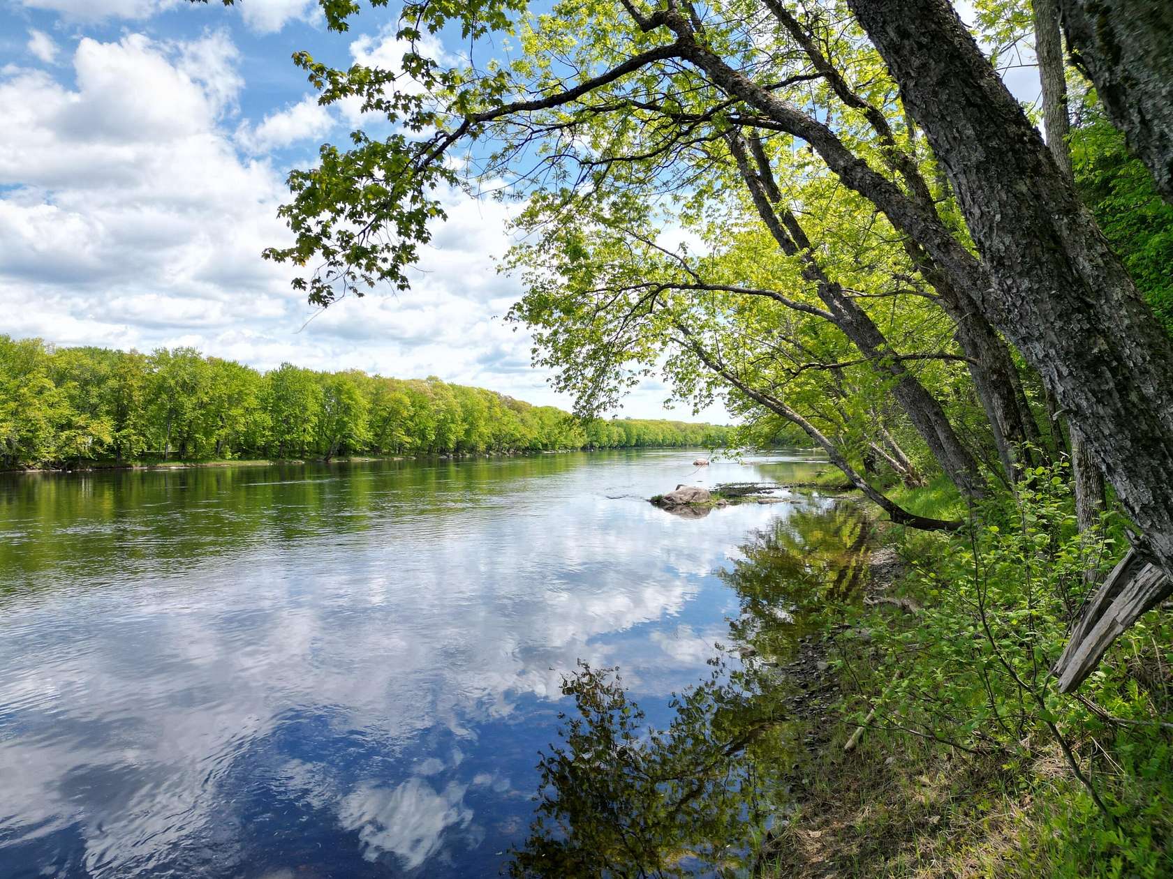 3 Acres of Residential Land for Sale in Woodville Town, Maine