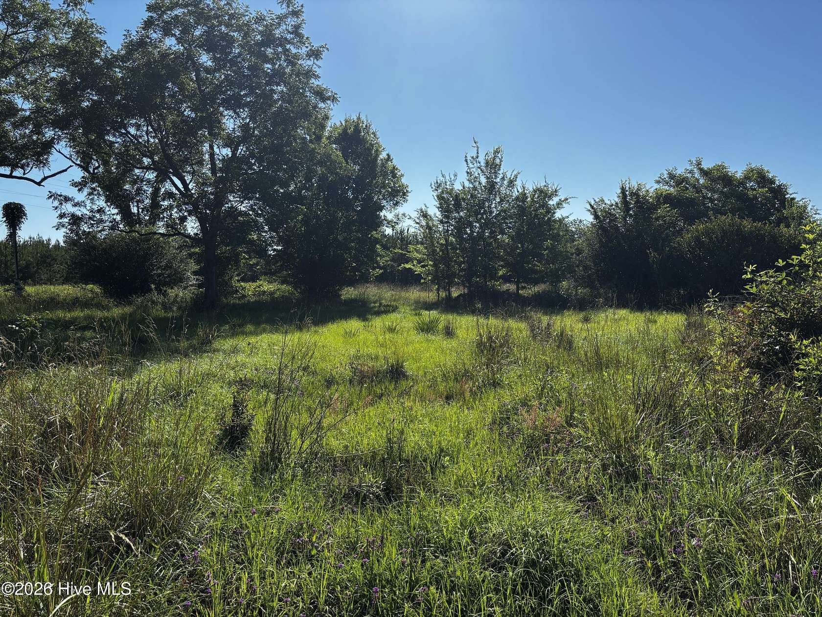 1 Acre of Residential Land for Sale in Wrightsville, Georgia