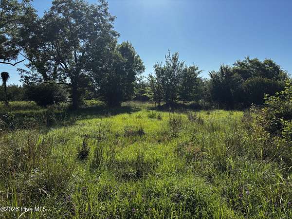 1 Acre of Residential Land for Sale in Wrightsville, Georgia