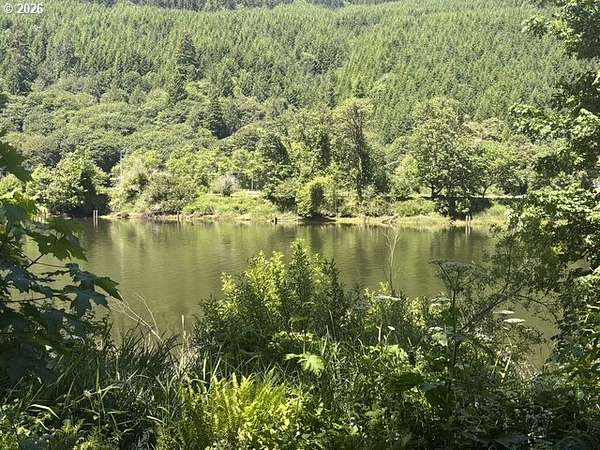 6 Acres of Land for Sale in Mapleton, Oregon