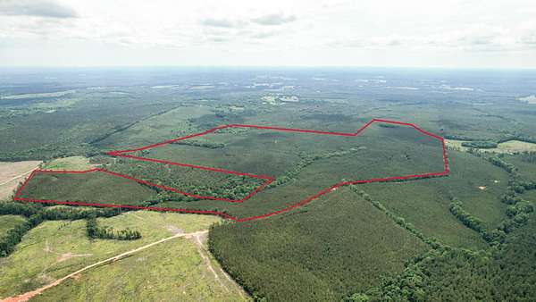323 Acres of Recreational Land for Sale in Saluda, South Carolina