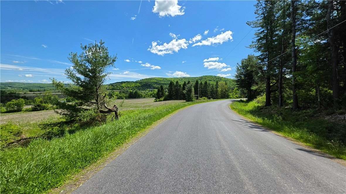 16.9 Acres of Land for Sale in Brooktondale, New York