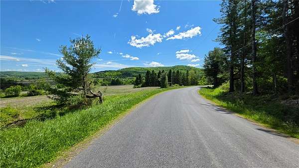 16.9 Acres of Land for Sale in Brooktondale, New York