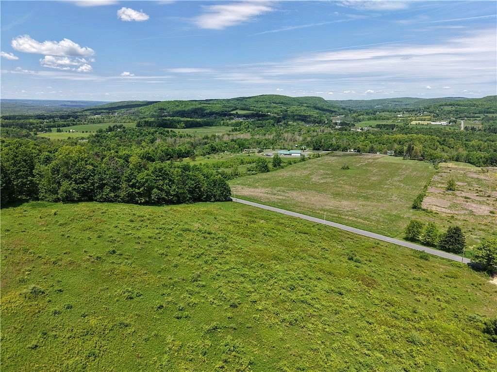 48 Acres of Land for Sale in Brooktondale, New York