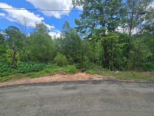 0.05 Acres of Land for Sale in Woodville, Texas