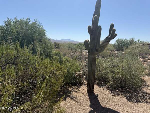 0.6 Acres of Residential Land for Sale in Rio Verde, Arizona