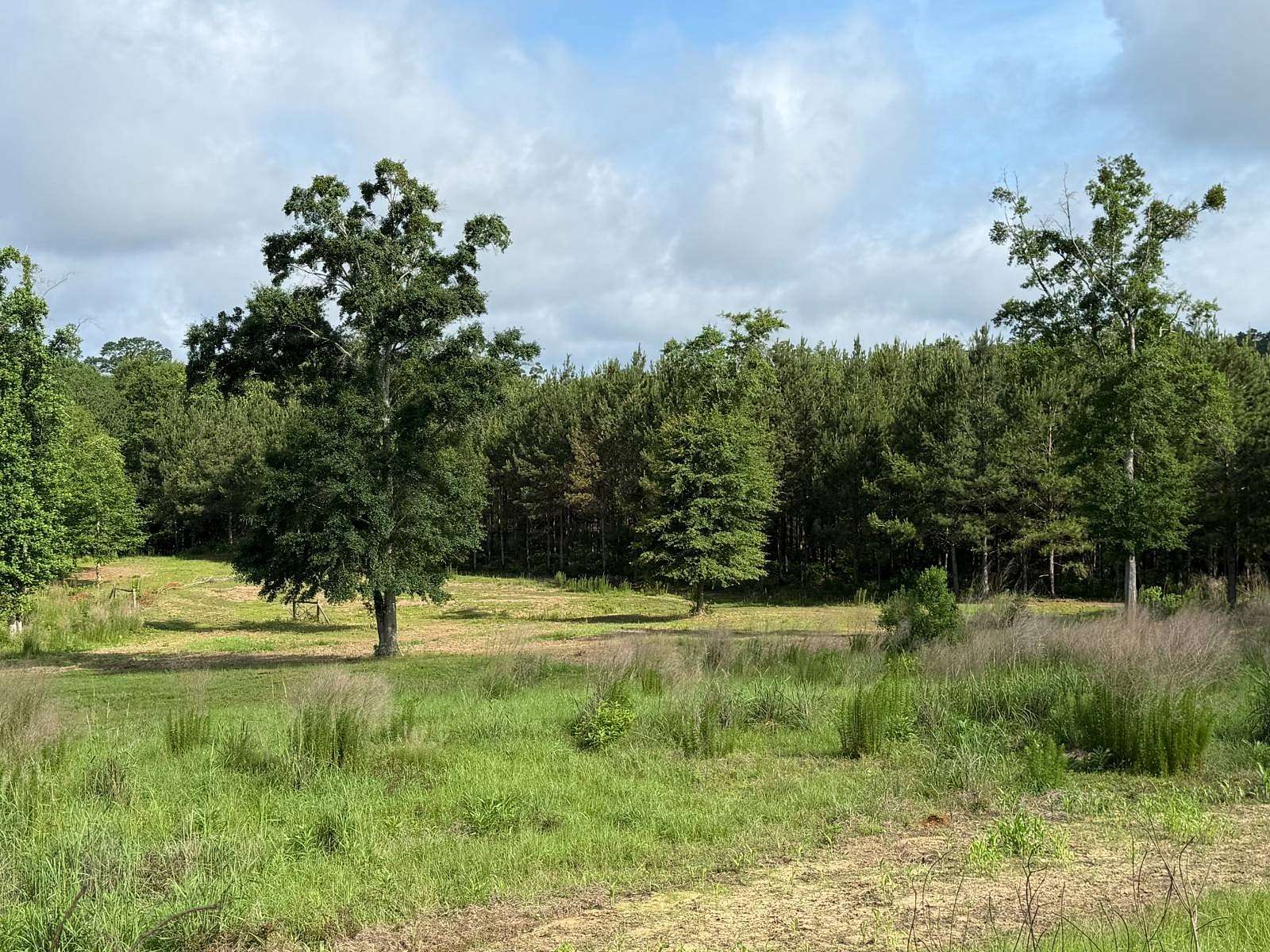 52 Acres of Land for Sale in Georgiana, Alabama