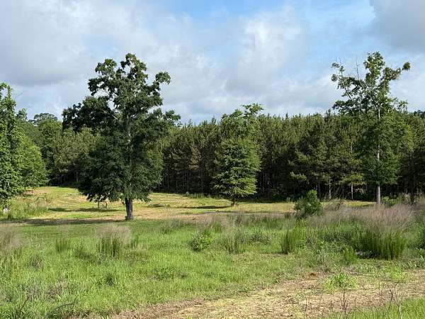 52 Acres of Land for Sale in Georgiana, Alabama