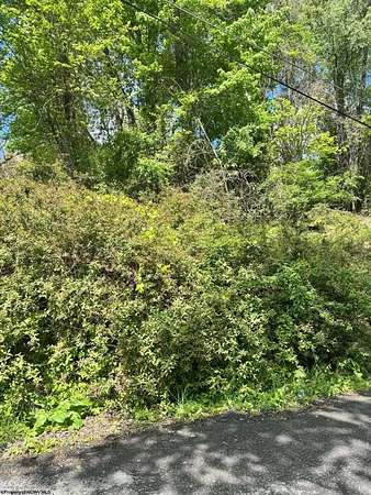 0.1 Acres of Residential Land for Sale in Kingwood, West Virginia