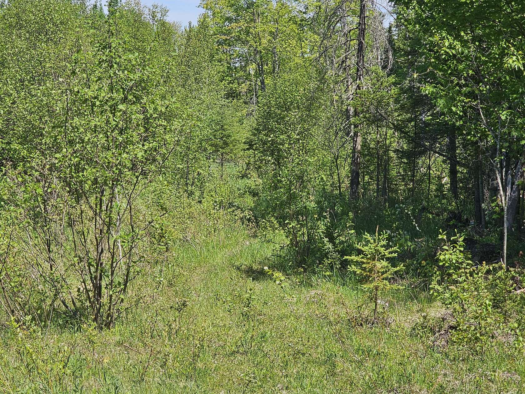 5 Acres of Recreational Land for Sale in Engadine, Michigan