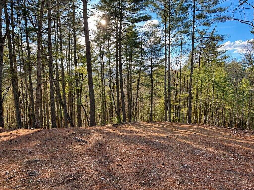 1.2 Acres of Residential Land for Sale in Ellijay, Georgia