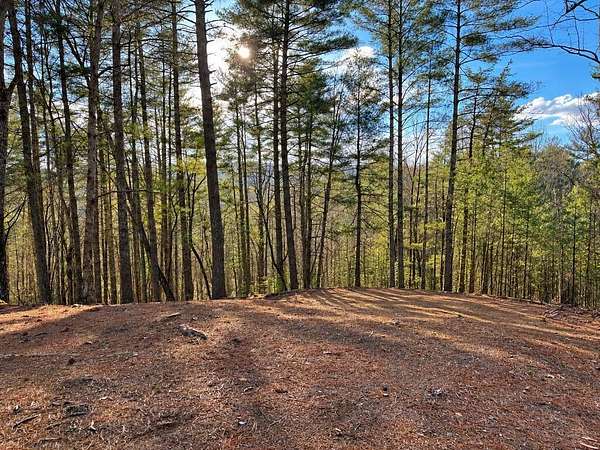1.2 Acres of Residential Land for Sale in Ellijay, Georgia