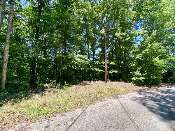 1 Acre of Land for Sale in Smithville, Tennessee