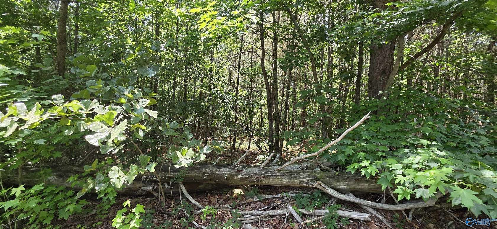 4.55 Acres of Residential Land for Sale in Henagar, Alabama