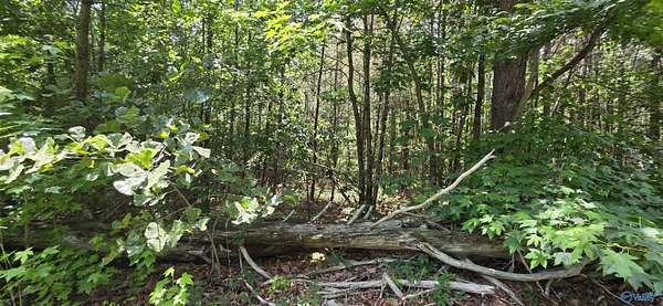 4.55 Acres of Residential Land for Sale in Henagar, Alabama