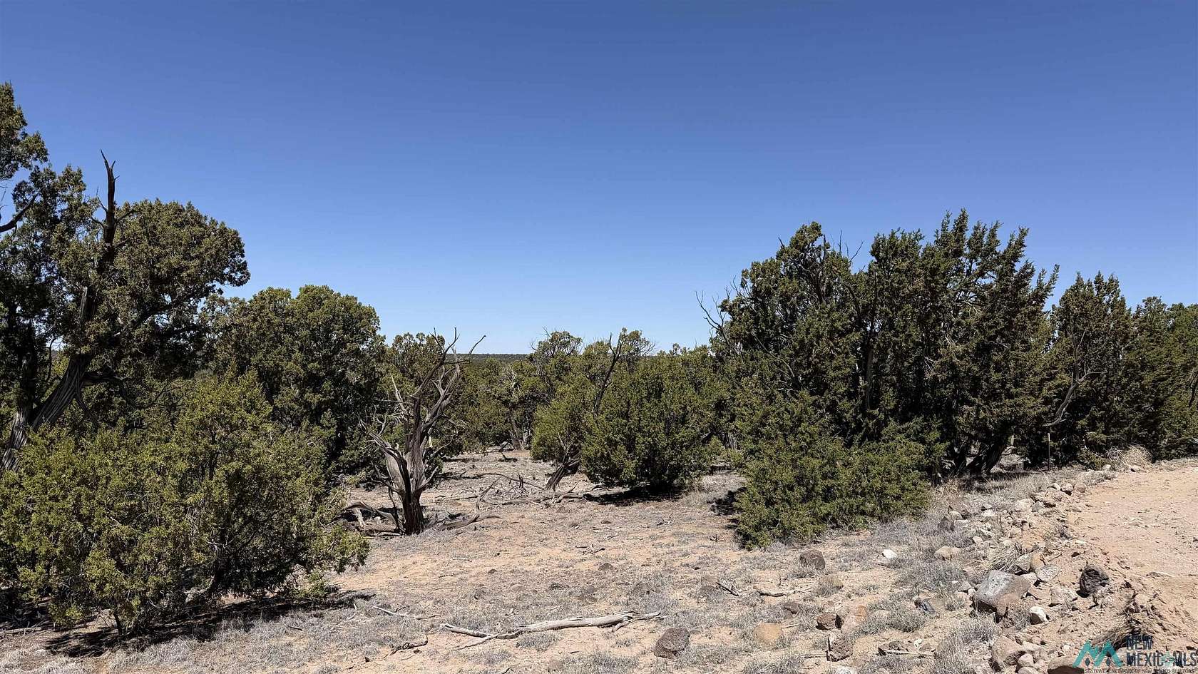 10.3 Acres of Recreational & Residential Land for Sale in Quemado, New Mexico