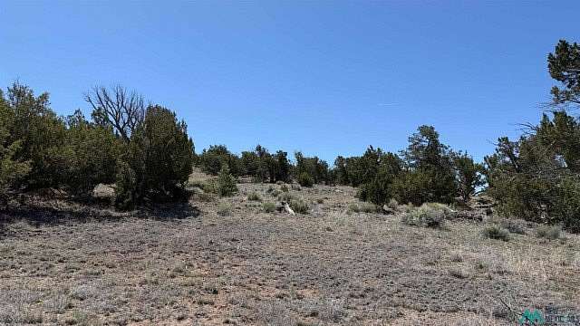 10.3 Acres of Recreational & Residential Land for Sale in Quemado, New Mexico