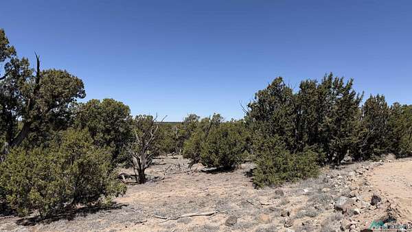 10.3 Acres of Recreational & Residential Land for Sale in Quemado, New Mexico