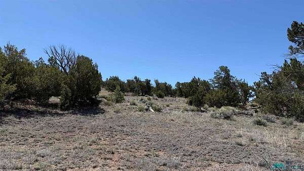 10.3 Acres of Recreational & Residential Land for Sale in Quemado, New Mexico