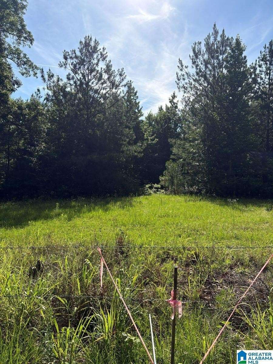 30 Acres of Land for Sale in Jemison, Alabama