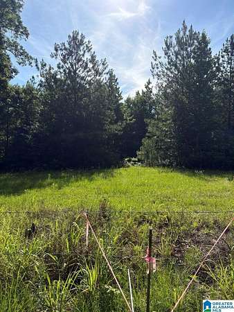 30 Acres of Land for Sale in Jemison, Alabama