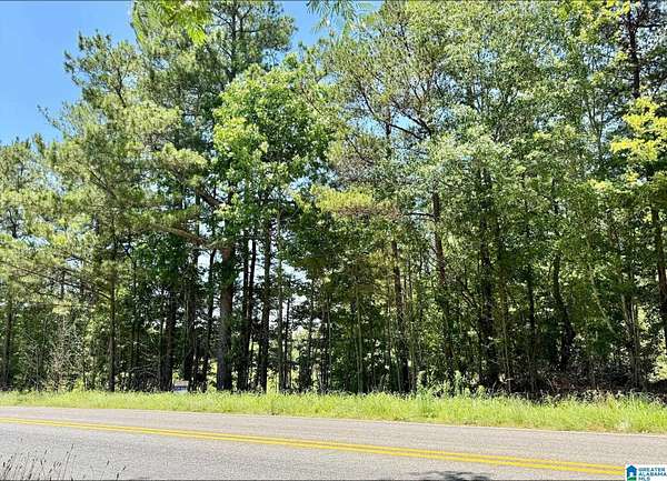 15 Acres of Recreational & Residential Land for Sale in Wedowee, Alabama