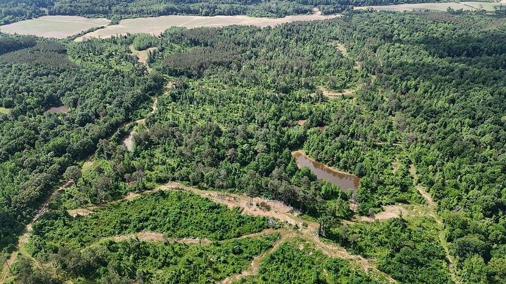 193 Acres of Land for Sale in Sardis, Mississippi