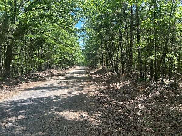 57.9 Acres of Land for Sale in Grenada, Mississippi