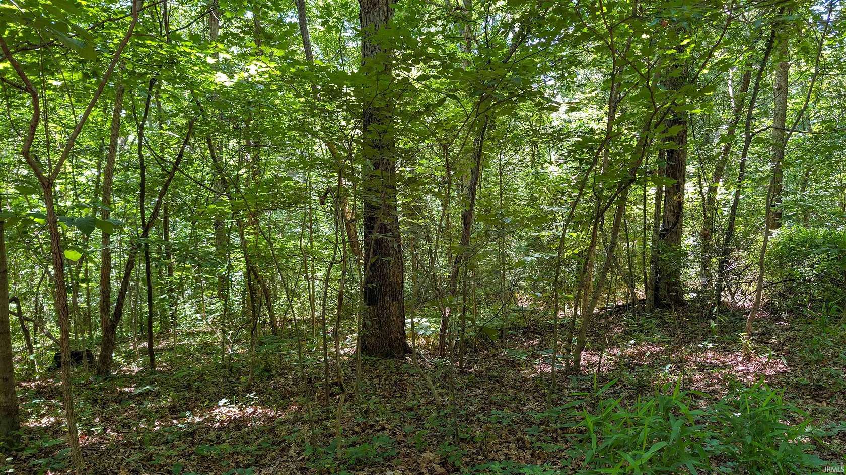 6.38 Acres of Residential Land for Sale in Cannelton, Indiana