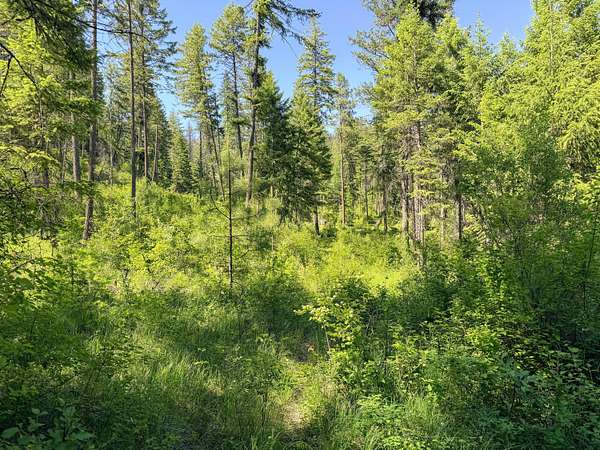 20 Acres of Recreational & Residential Land for Sale in Addy, Washington