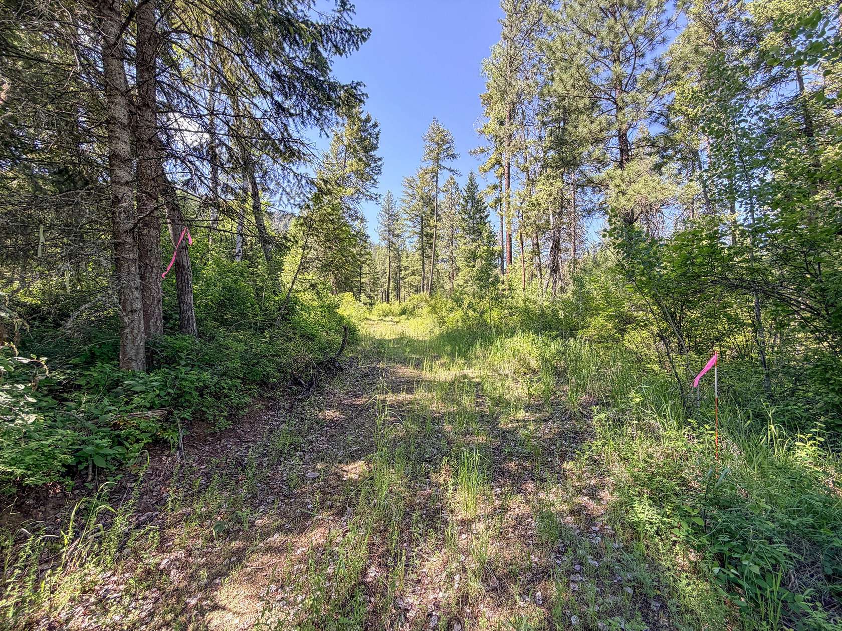 55 Acres of Recreational Land for Sale in Addy, Washington