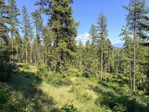 20 Acres of Recreational & Residential Land for Sale in Addy, Washington