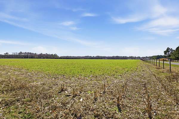 135 Acres of Land for Sale in Greenwood, Delaware