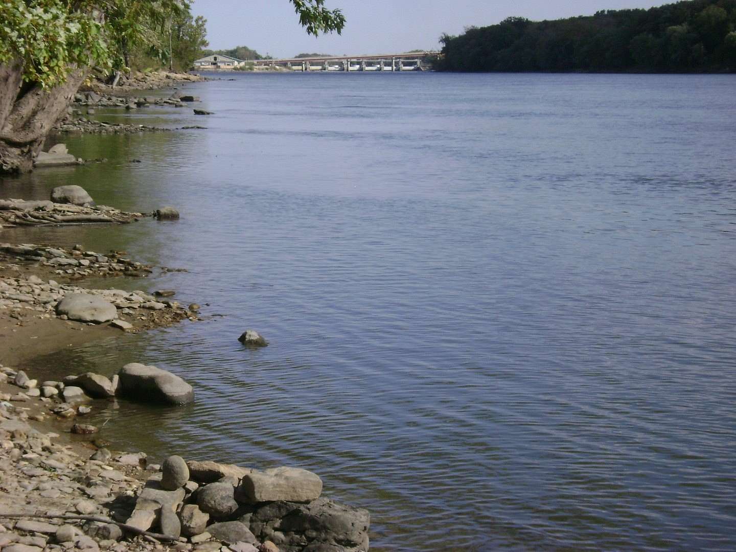 36 Acres of Land for Sale in Marseilles, Illinois