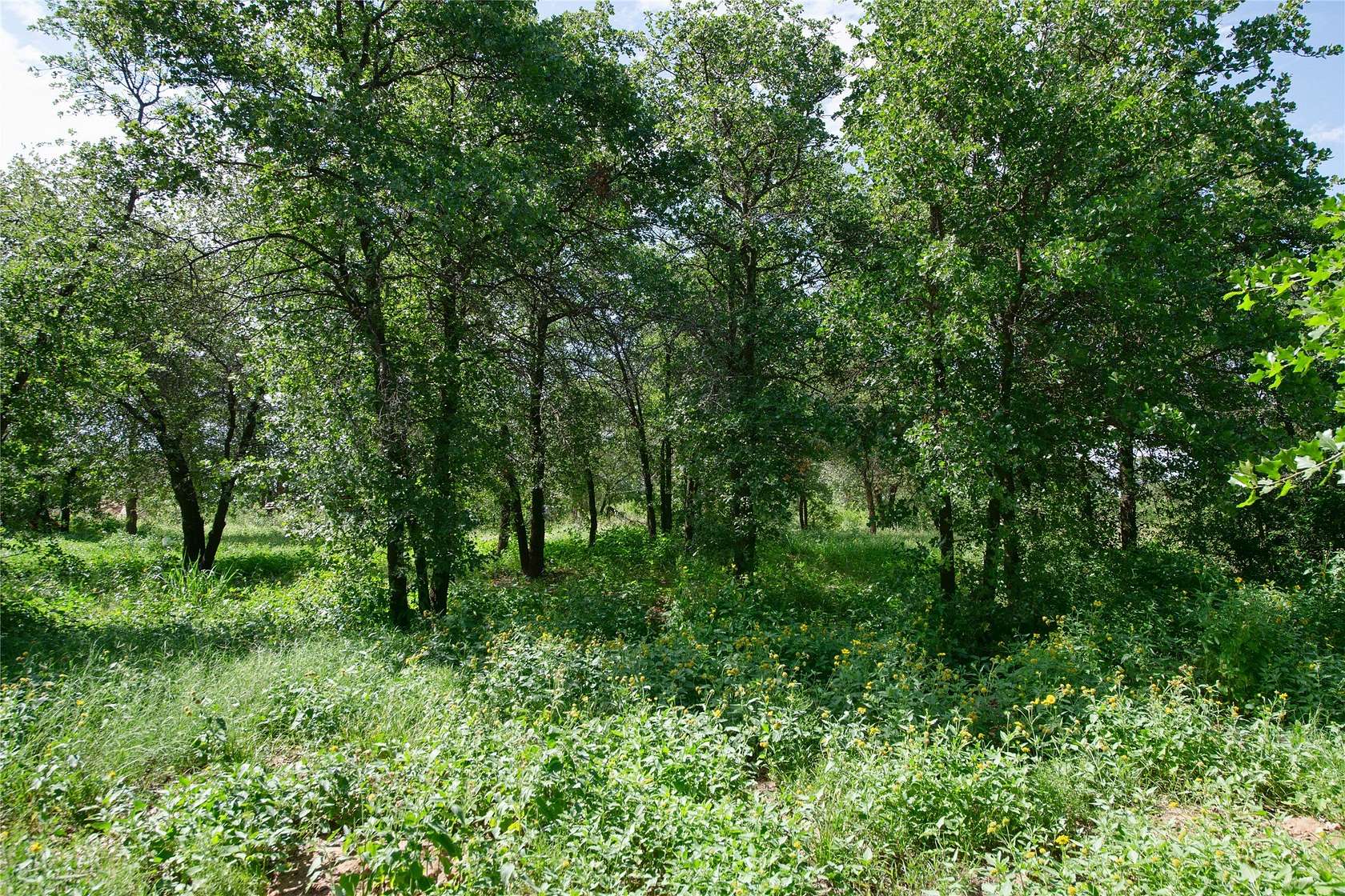20.3 Acres of Land for Sale in Hawley, Texas
