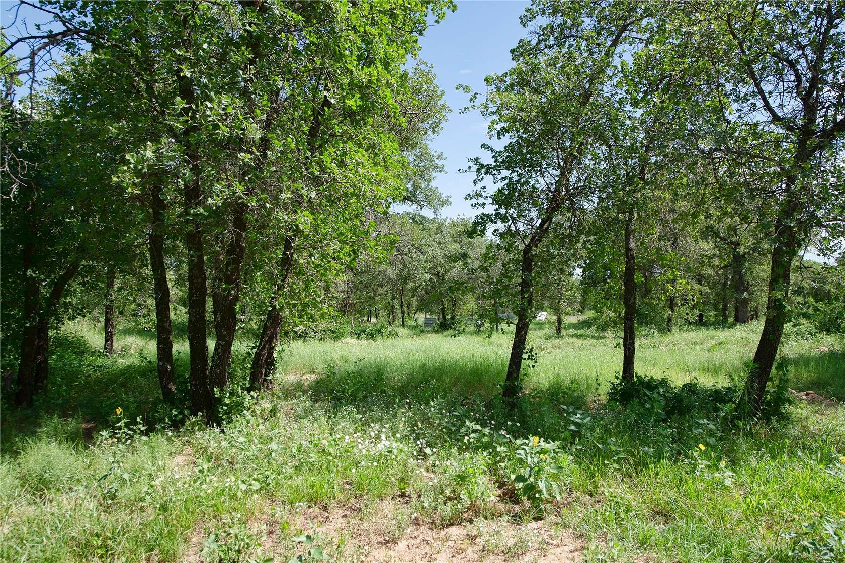 20.3 Acres of Land for Sale in Hawley, Texas