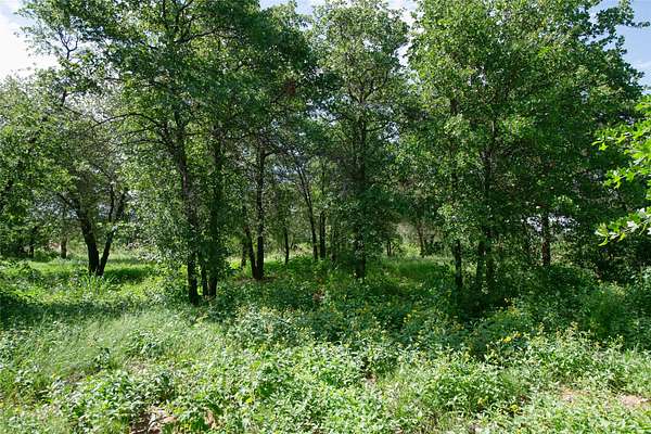 20.3 Acres of Land for Sale in Hawley, Texas