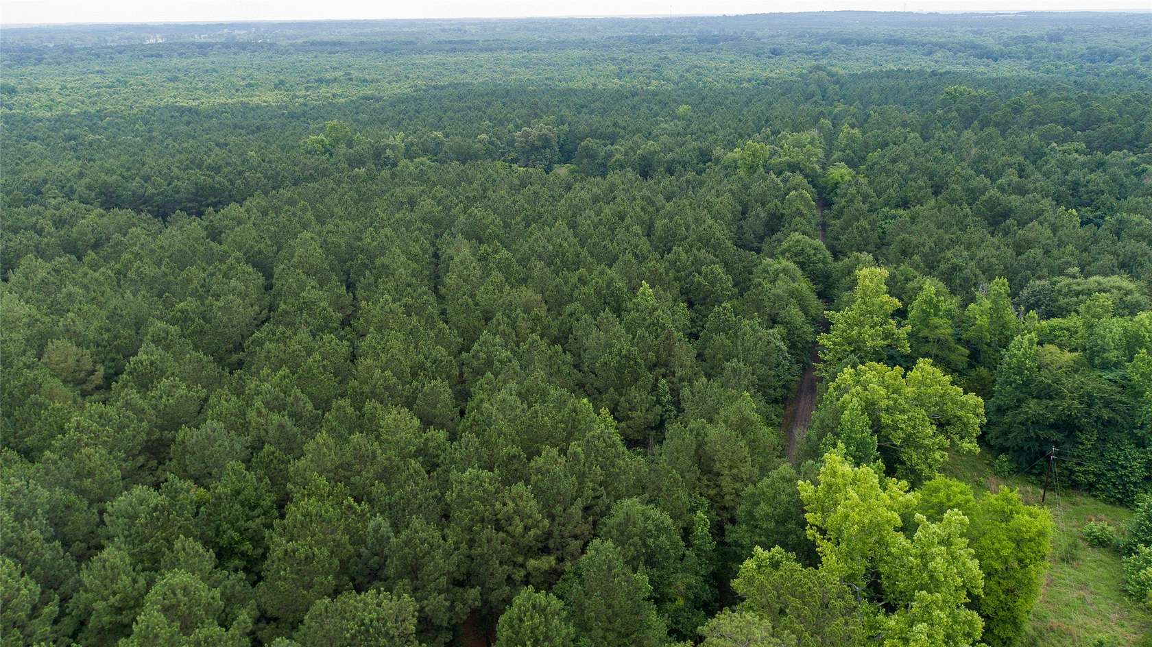 422 Acres of Recreational Land for Sale in Pittsburg, Texas