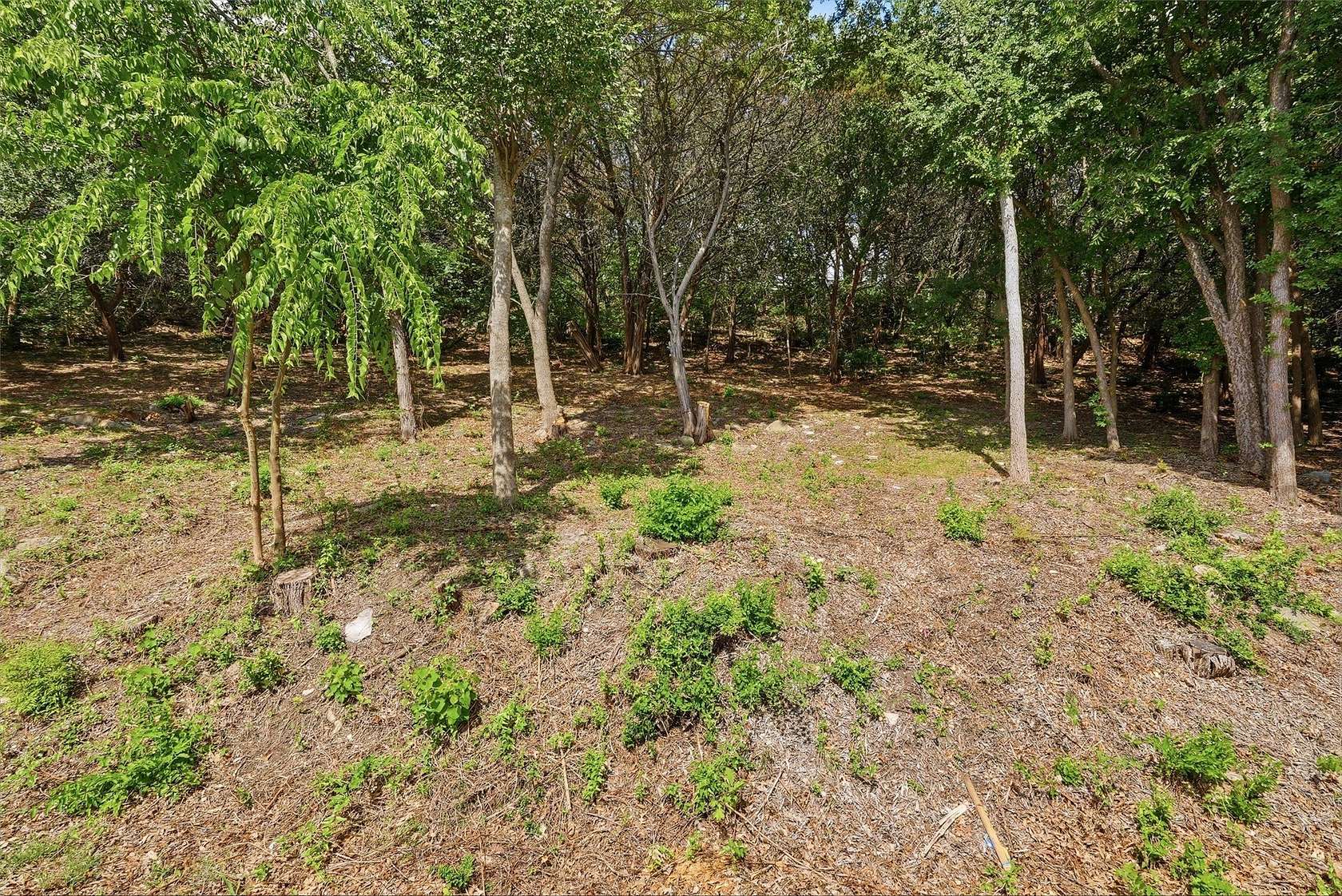 0.39 Acres of Residential Land for Sale in DeCordova, Texas