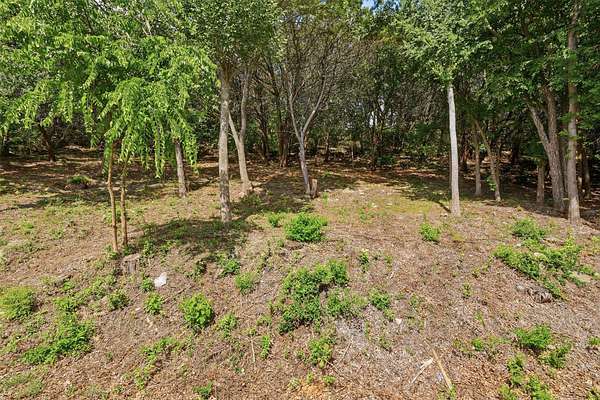 0.39 Acres of Residential Land for Sale in DeCordova, Texas