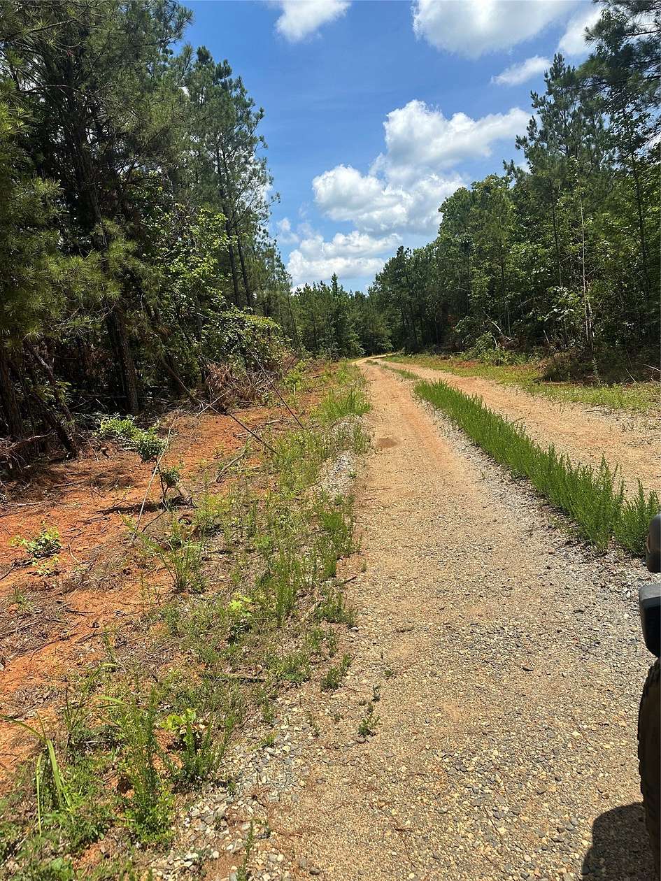 80 Acres of Land for Sale in Haynesville, Louisiana