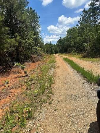 80 Acres of Land for Sale in Haynesville, Louisiana